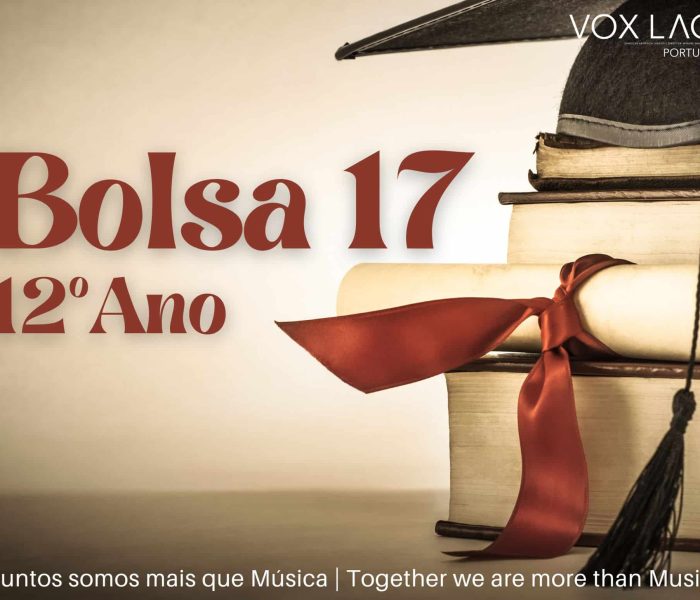 Bolsa 17